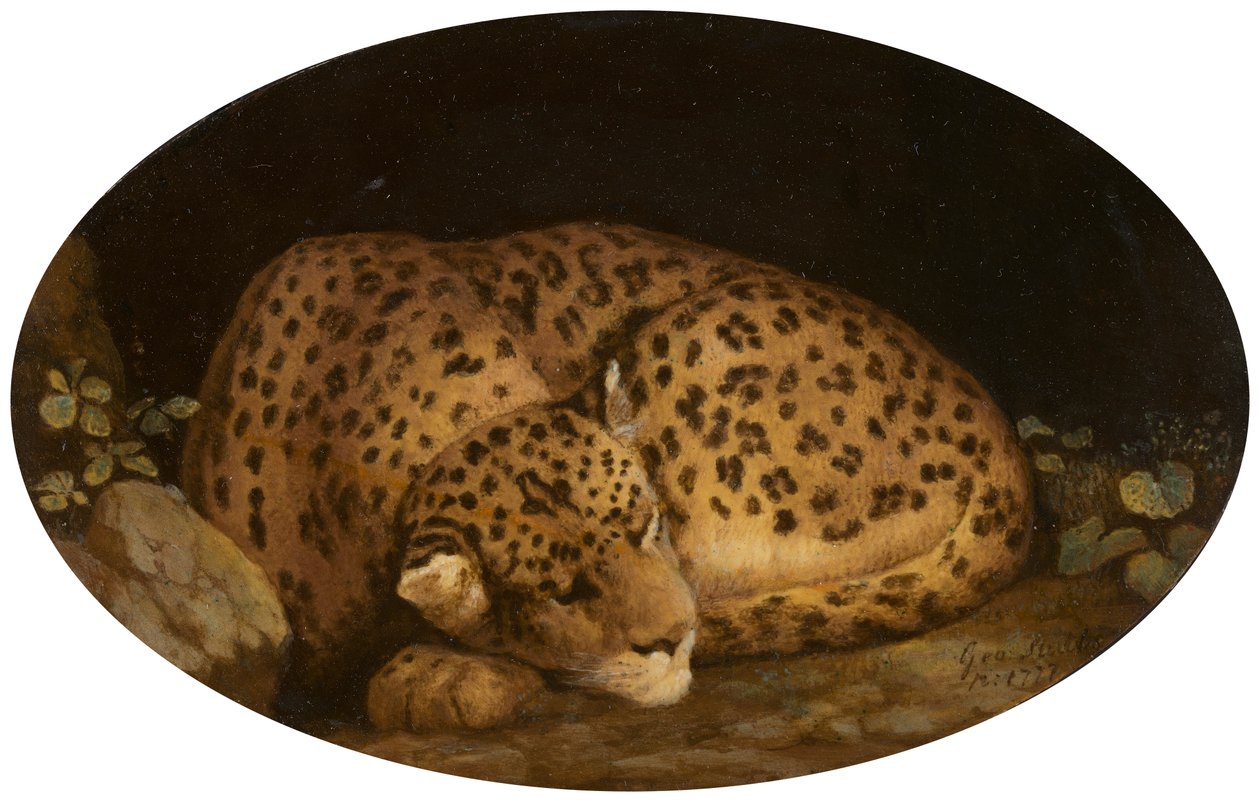 Sovende leopard av George Stubbs