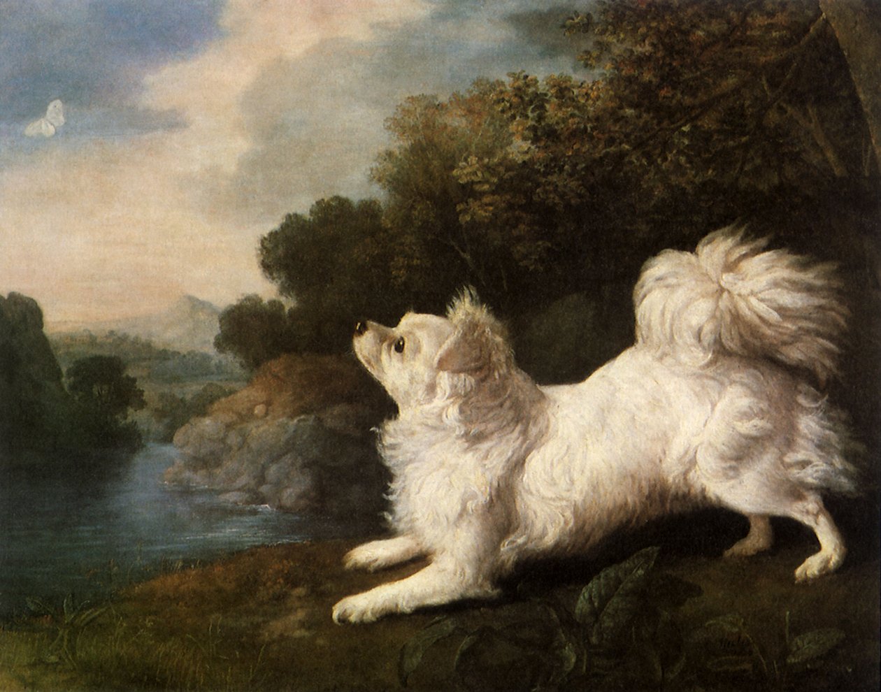 Spaniel tilhørende maleren Cosway jager en sommerfugl, 1775 av George Stubbs