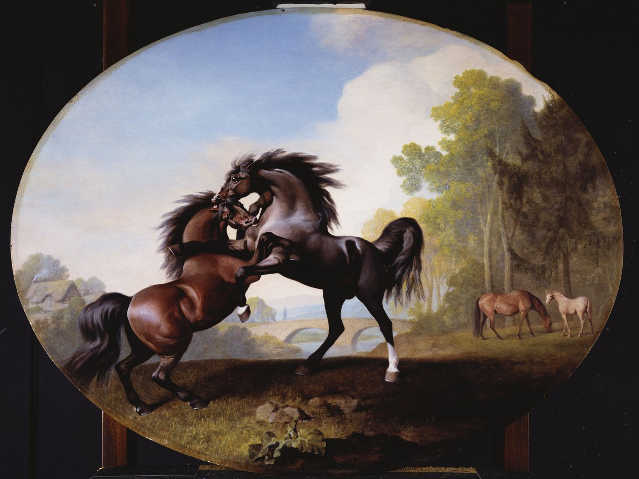 Hingstekamp, 1781 av George Stubbs