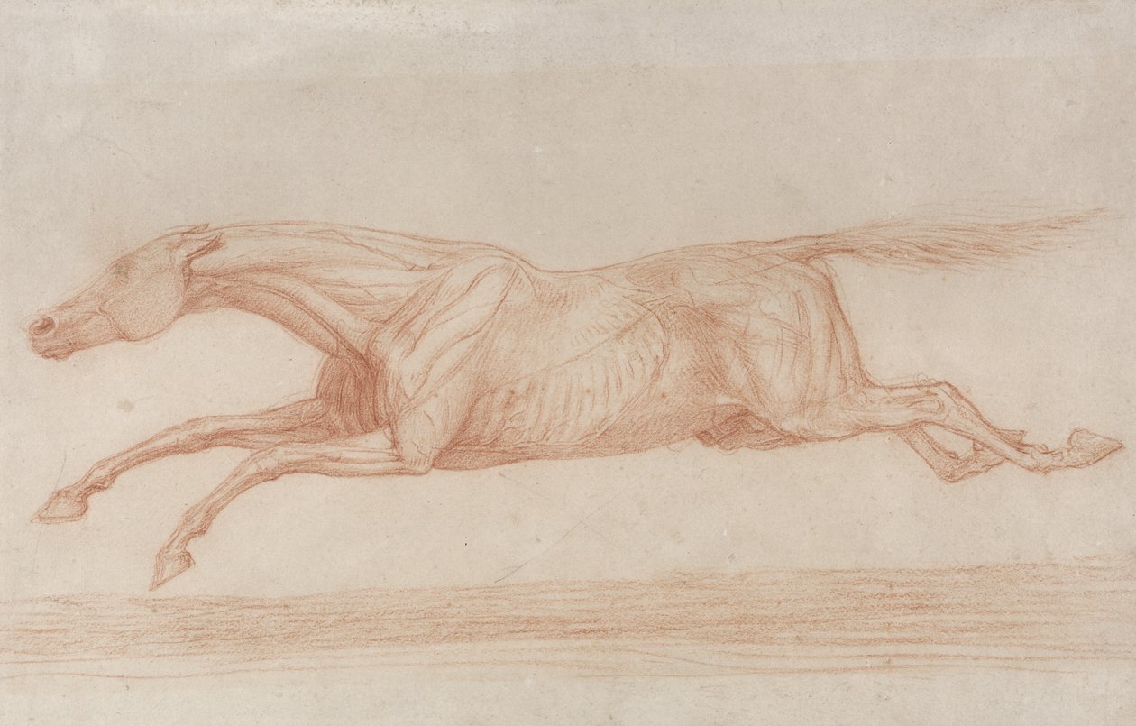 Studie av en veddeløpshest i aksjon: galopperende til venstre (rødt kritt på brunpapir) av George Stubbs