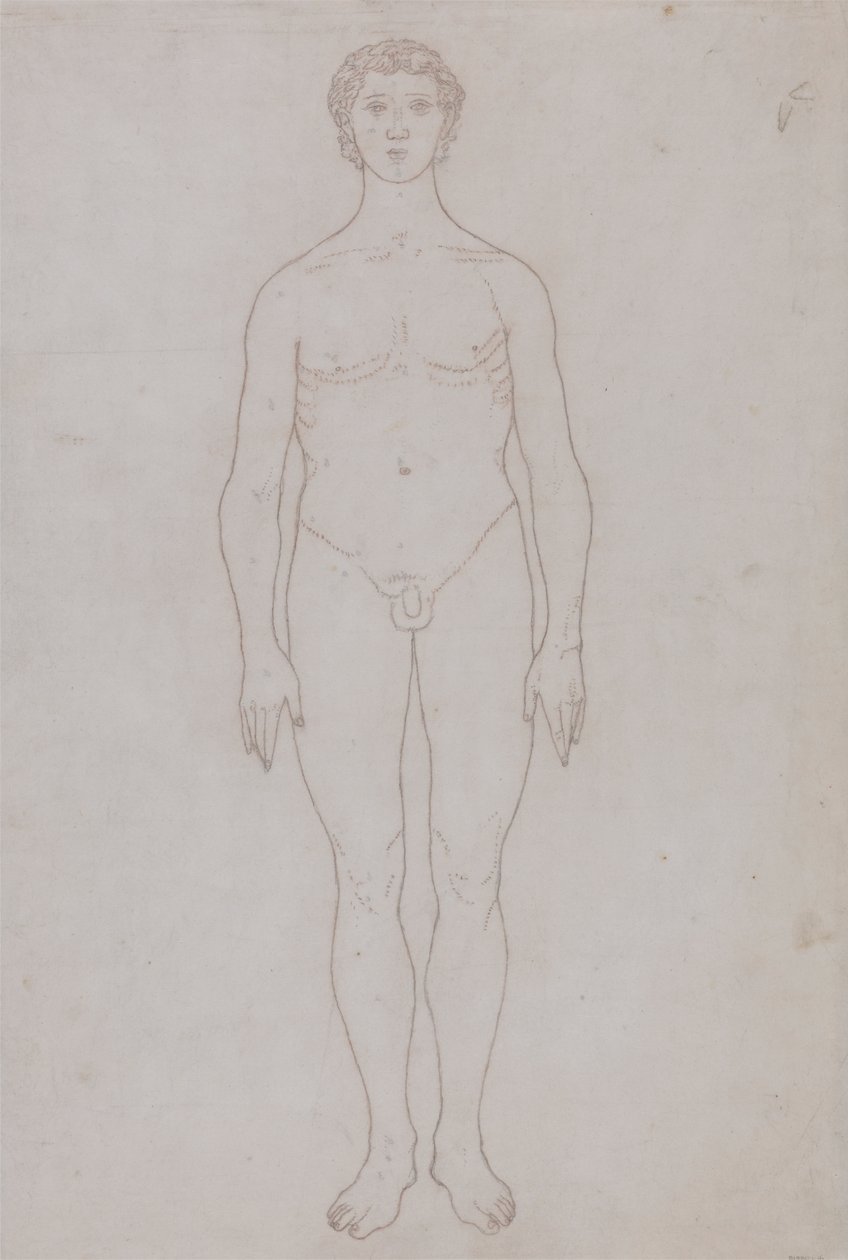 Studie av den menneskelige figuren, anterior view (konturtegning for tabell VI) av George Stubbs