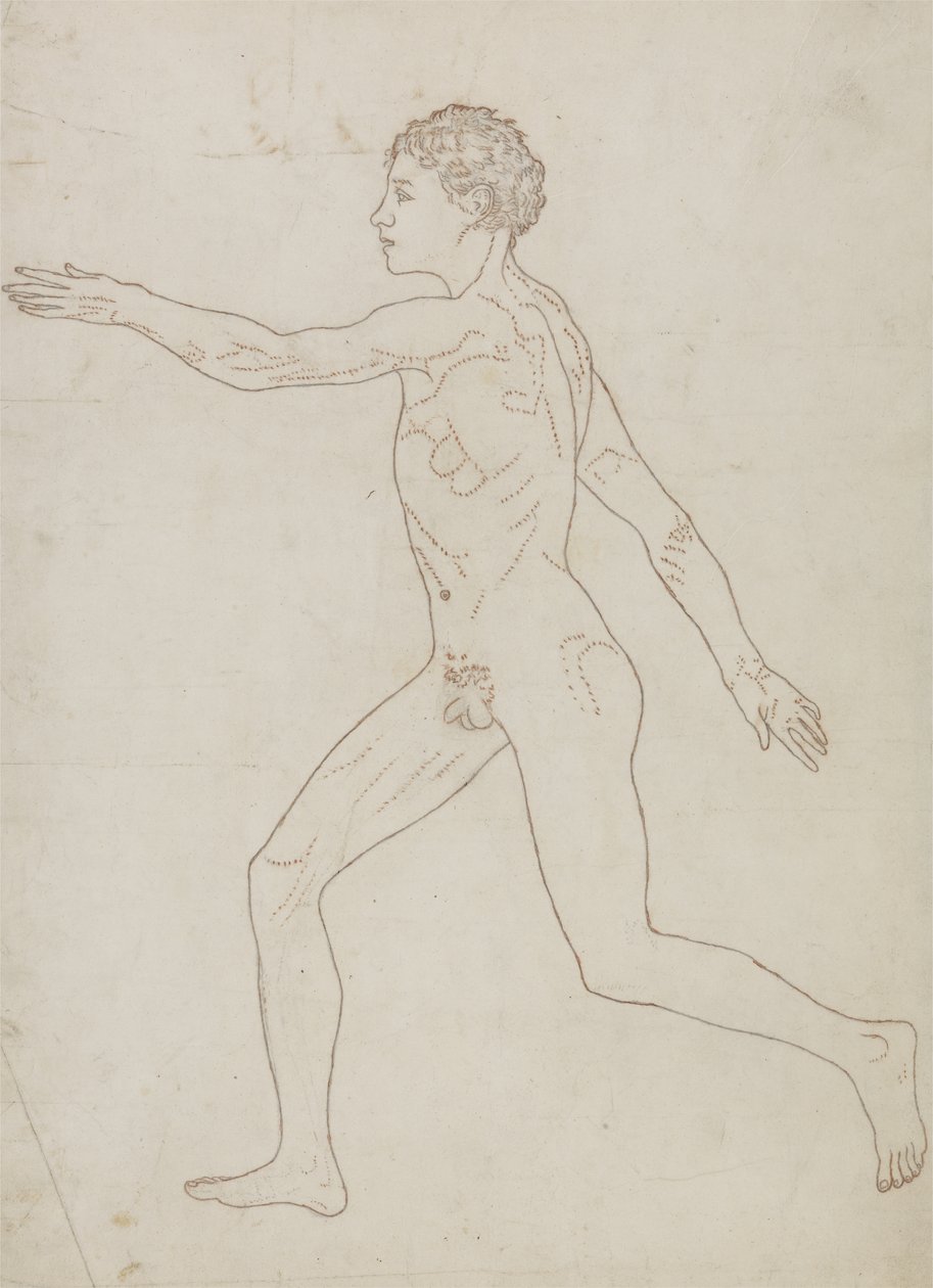 Studie av den menneskelige figuren, sidevisning, fra 