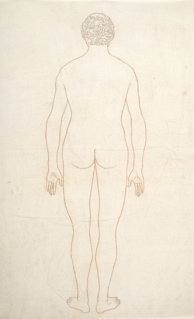 Studie av den menneskelige figuren, posteriort syn, fra en sammenlignende anatomisk utstilling av strukturen til menneskekroppen med strukturen til en tiger og en fugl, ca. 1795-1806 (blekk på papir) av George Stubbs