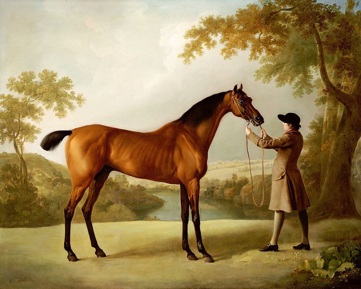 Tristram Shandy, en bukt veddeløpshest holdt av en brudgom i et vidstrakt landskap, ca. 1760 av George Stubbs