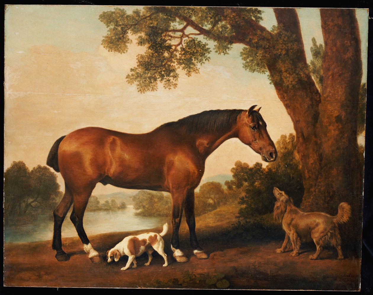 Ukjent bilde av George Stubbs