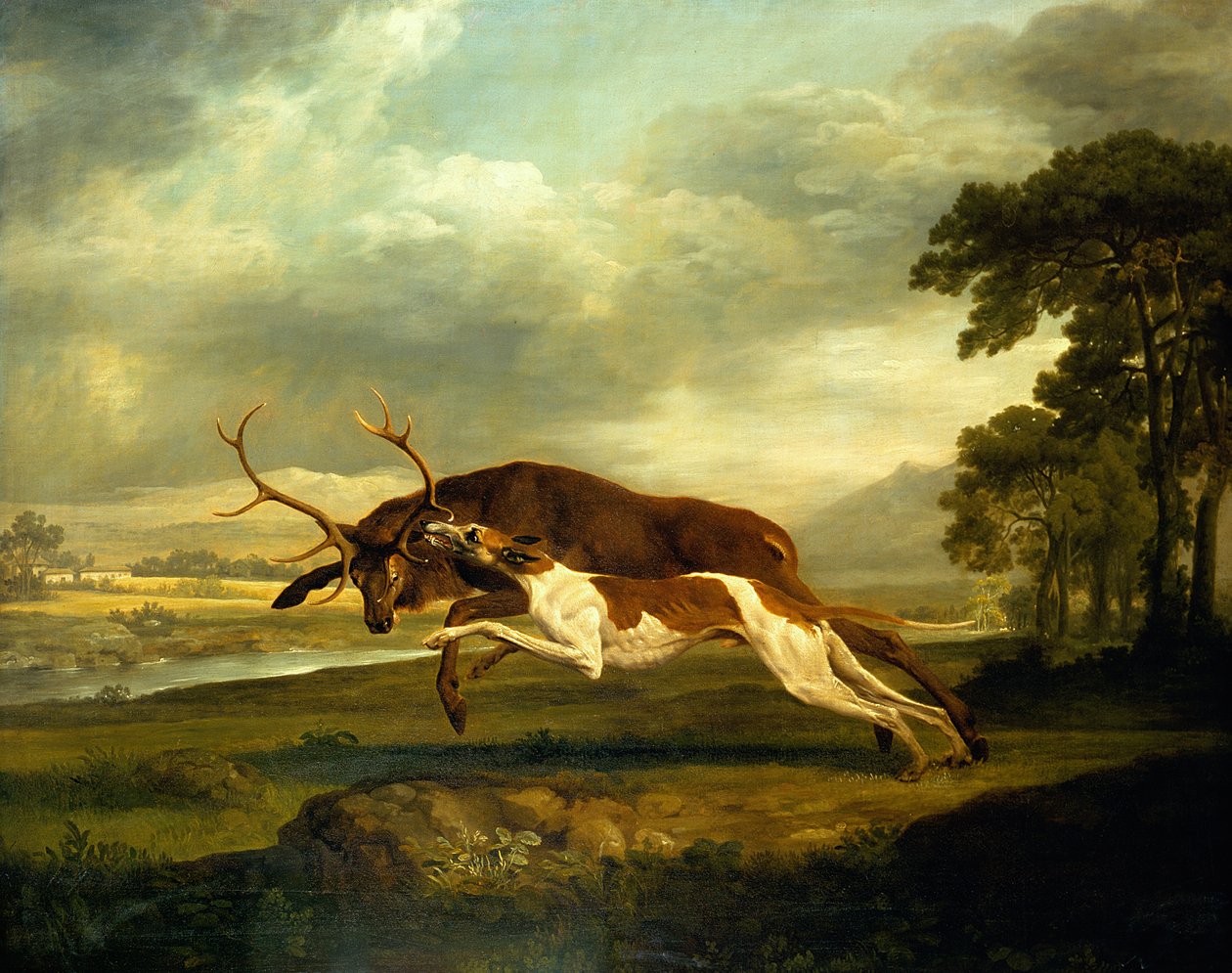 Ukjent bilde av George Stubbs