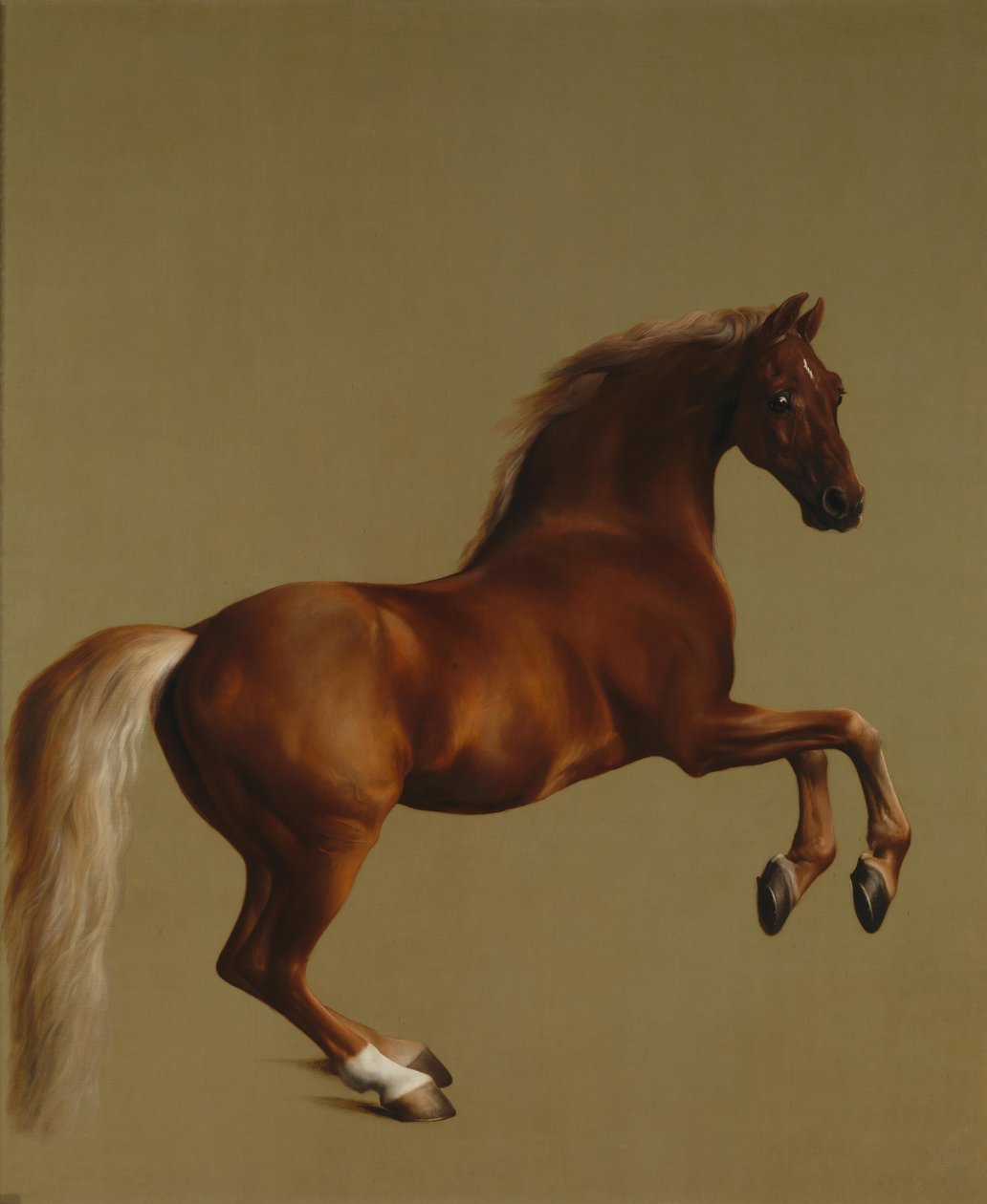 Whistlejacket av George Stubbs