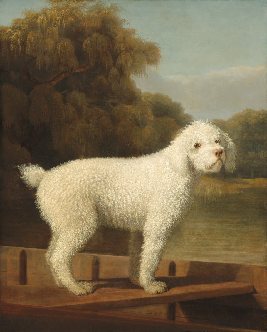 White Poodle in a Punt, ca. 1780 av George Stubbs