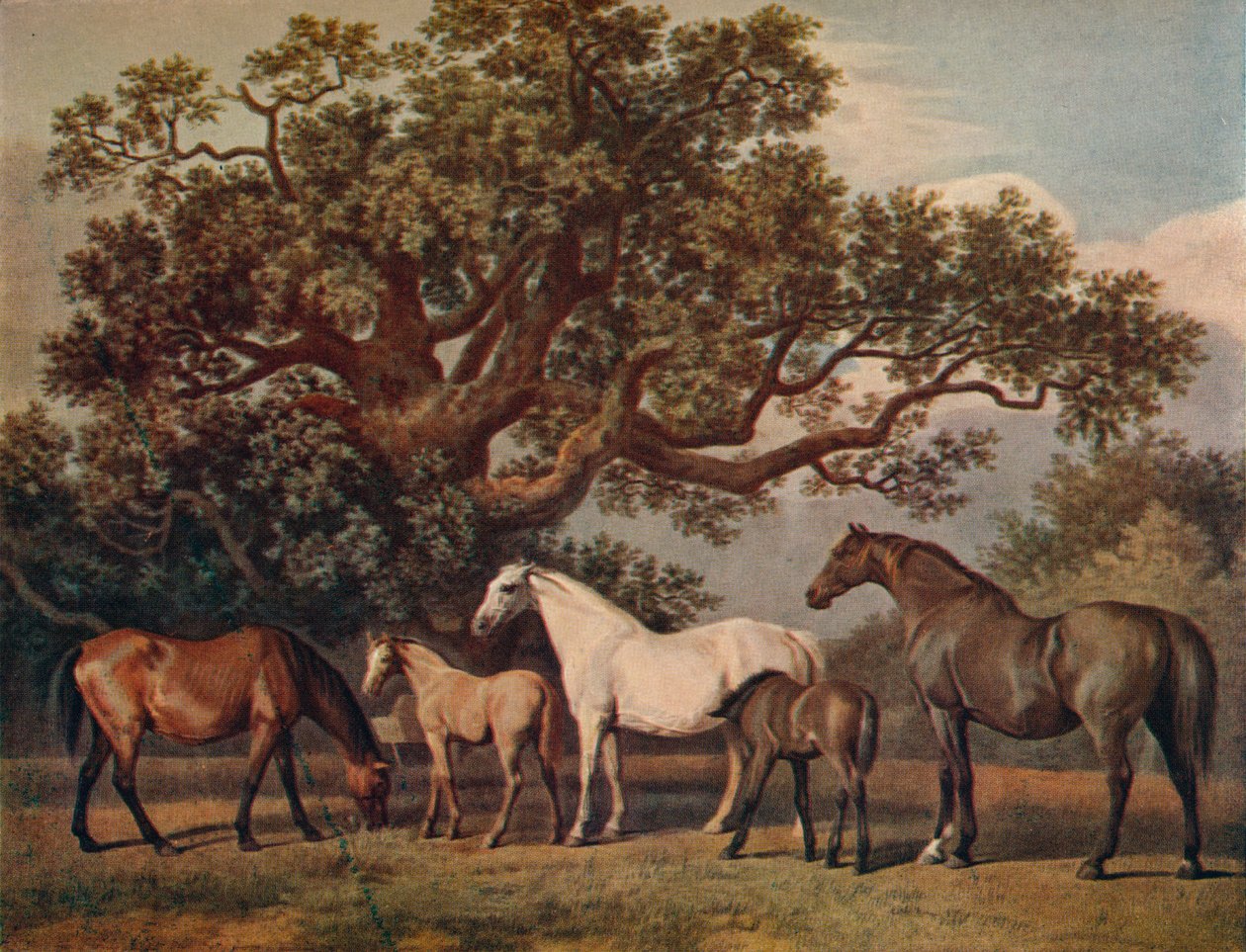 Brood Mares and Foals, sent på 1700-tallet, 1922 av George Townley Stubbs