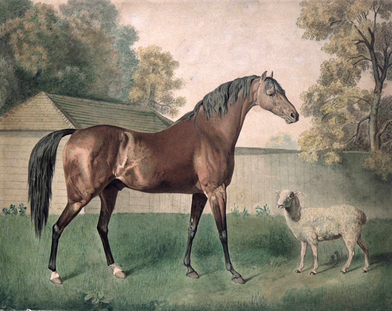 'Dungannon' (akvarell på papir) av George Townley Stubbs