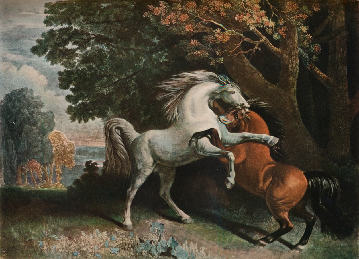 Hestekamp, c1700-tallet, 1902 av George Townley Stubbs