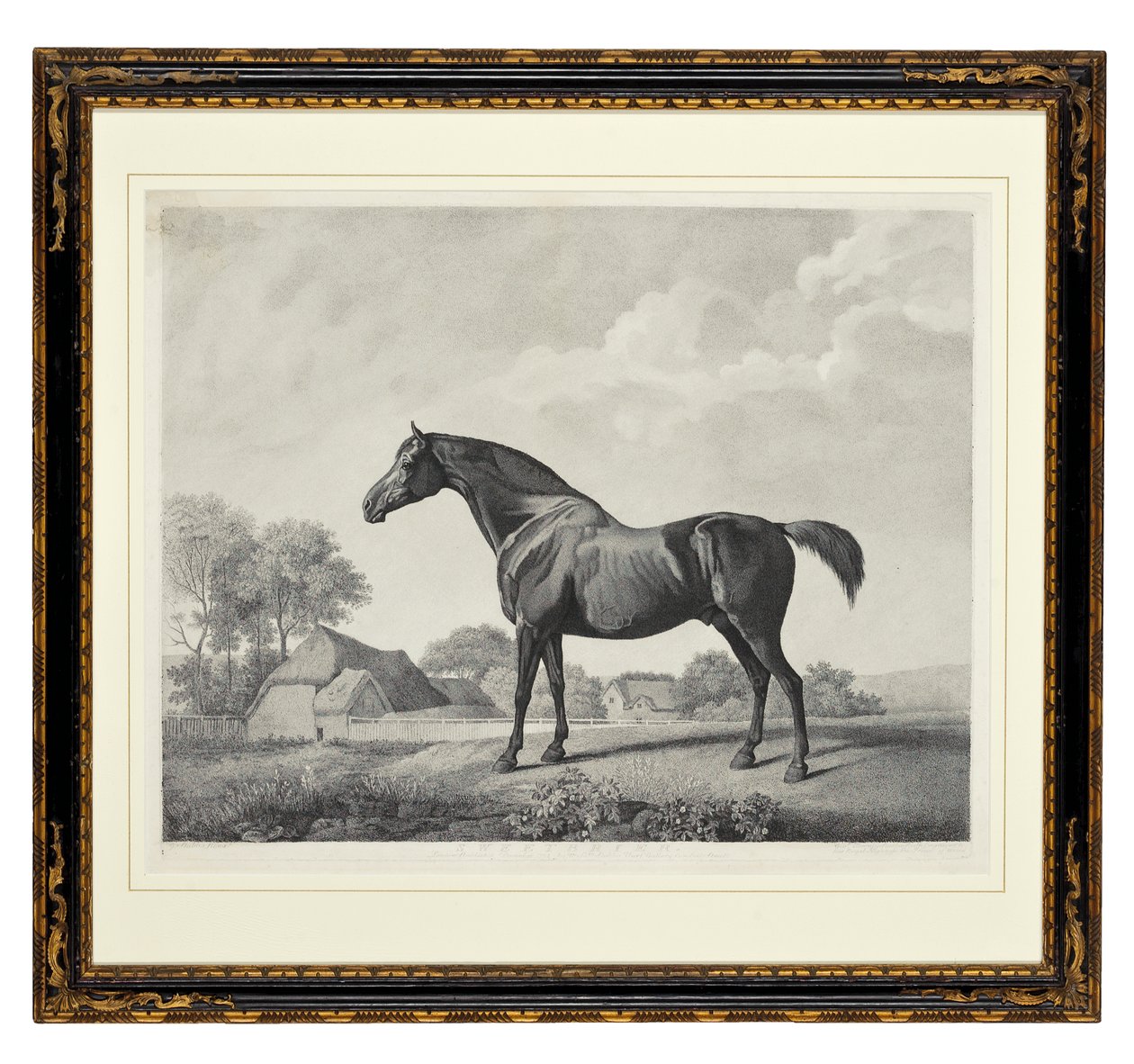 Sweetbrier (stippgravering) av George Townley Stubbs