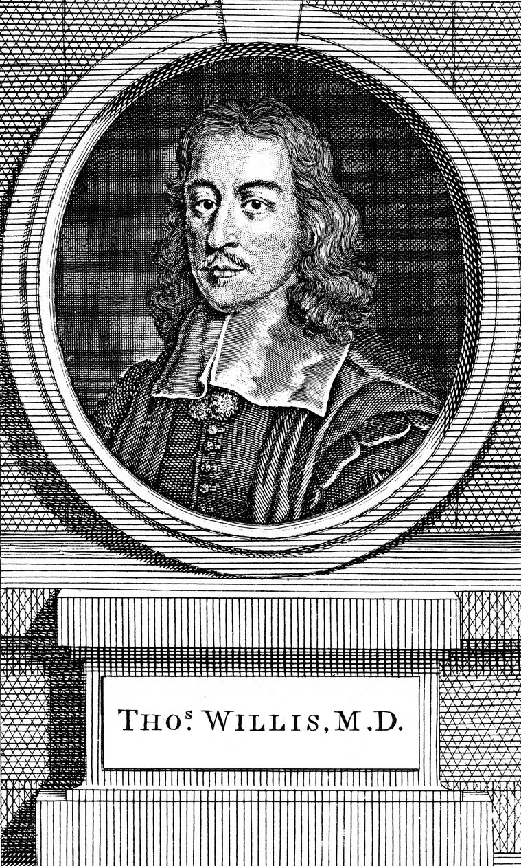 Thomas Willis, engelsk lege fra 1600-tallet, 1742 av George Vertue