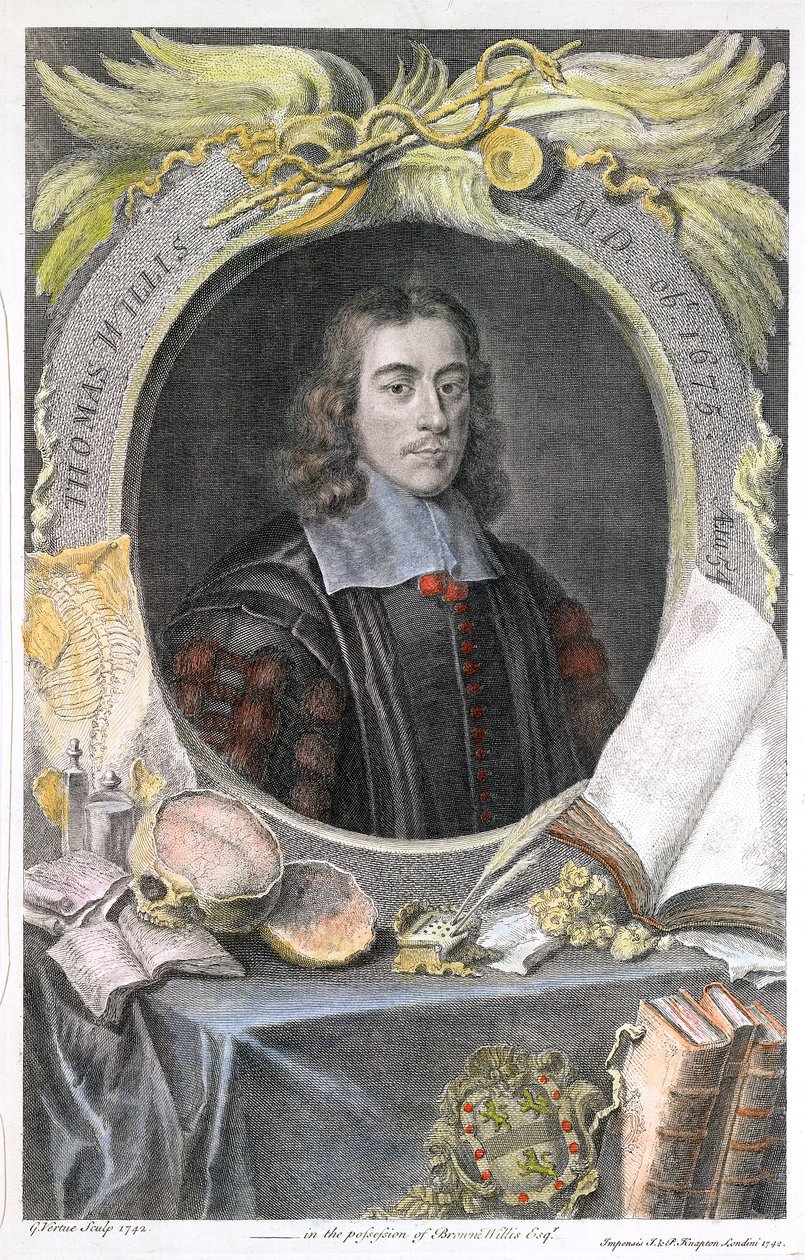 Thomas Willis, engelsk lege fra 1600-tallet, 1742 av George Vertue