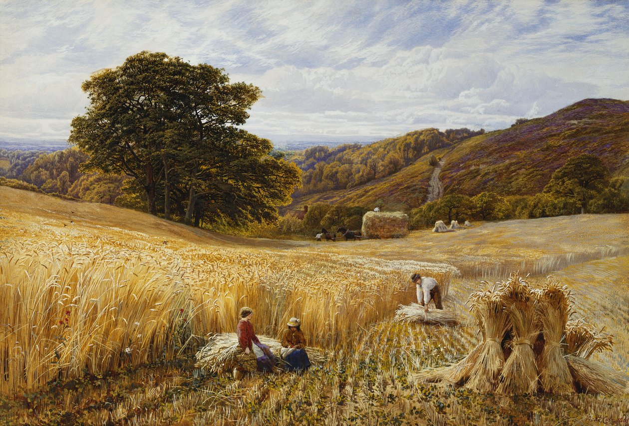 Høstetid nær Holmbury Hill, Surrey av George Vicat Cole