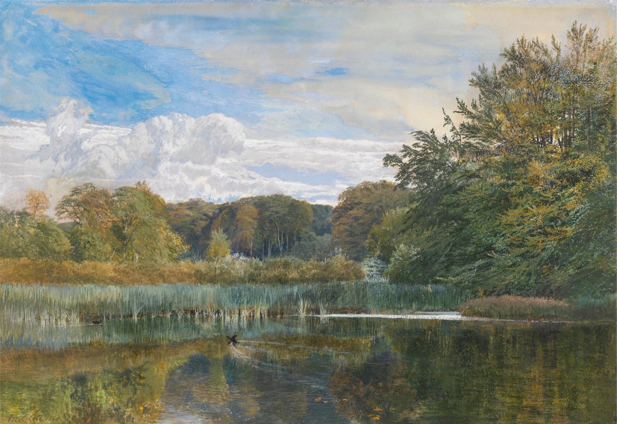 The Mill Pond, Evelyn Woods av George Vicat Cole