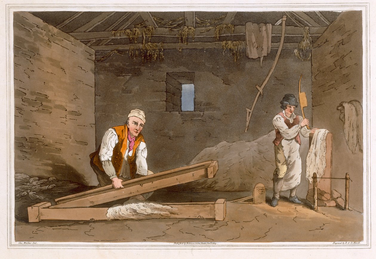 Line Swinglers gravert av Robert Havell den eldste, utgitt 1814 av Robinson og Son, Leeds av George Walker