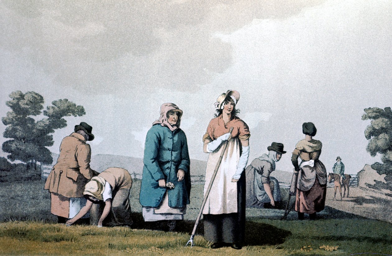 Lowkers - kvinner som luket mais, 1814 av George Walker of Seacroft