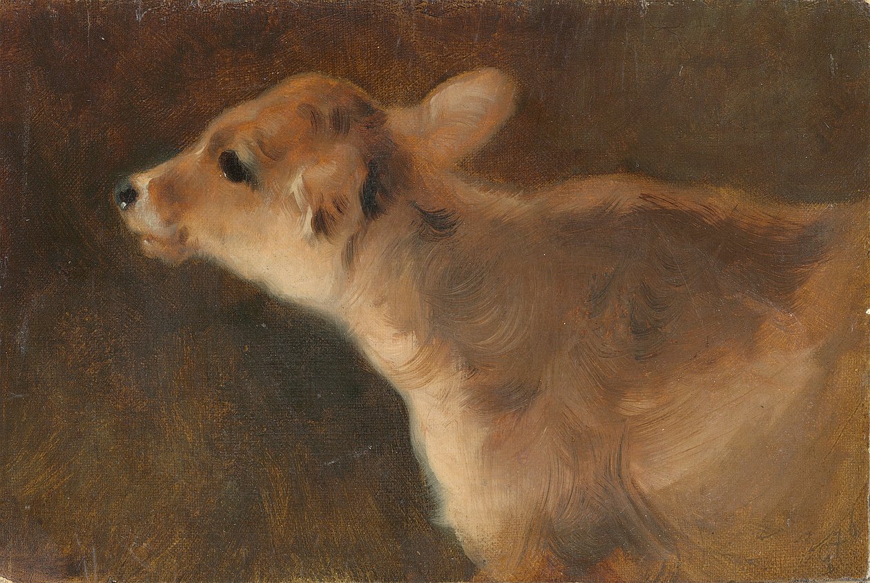 En kalv, 1879 (olje på lerret lagt om bord) av George Wiliam Horlor