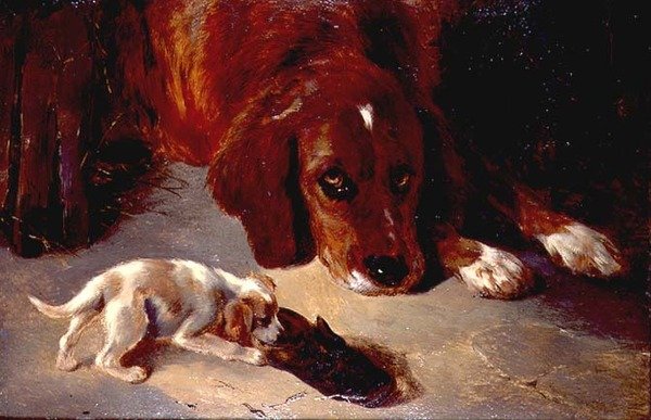 En nysgjerrig valp (brett) av George Wiliam Horlor