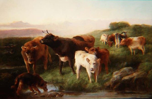 Høylandsfe på beite av George Wiliam Horlor