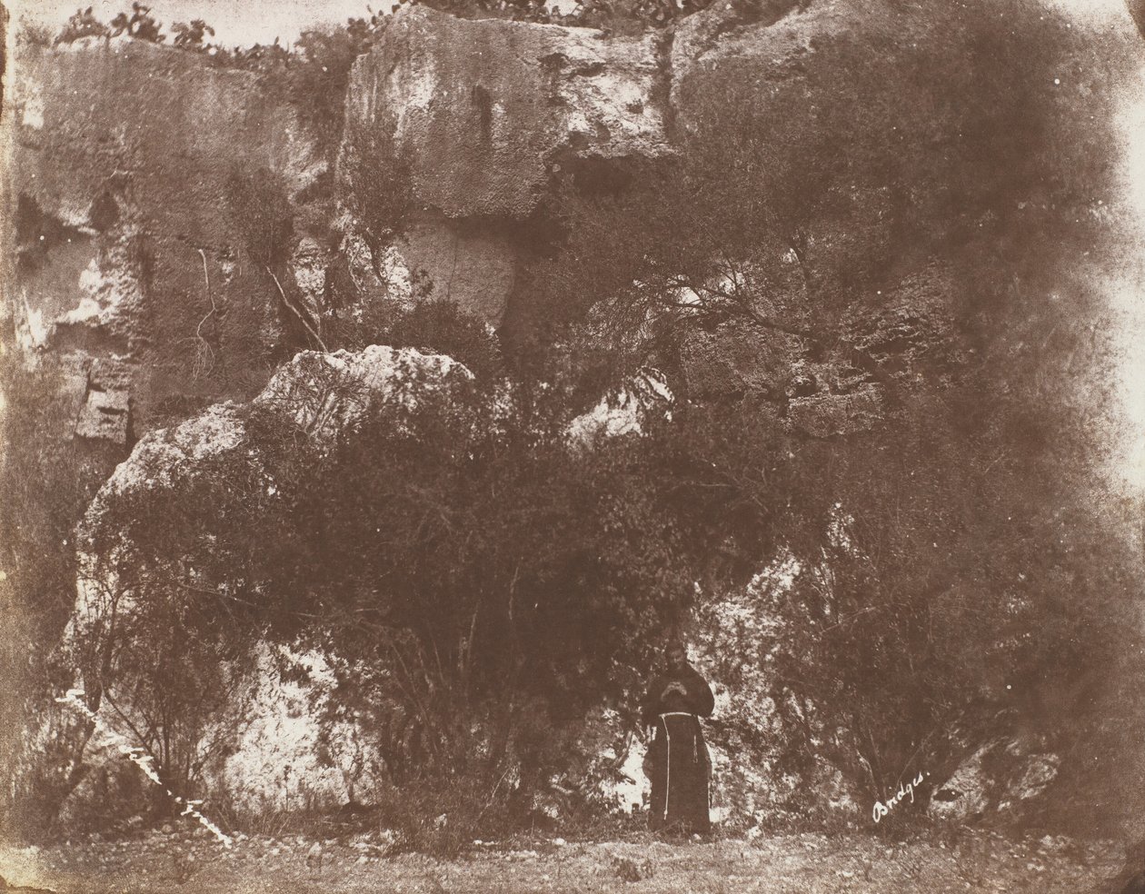 Garden of Selvia, Syracuse, Sicilia, 1846. av George Wilson Bridges