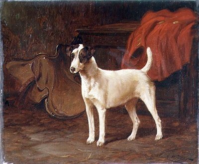 En Jack Russell står klar i et takrom av George Wright
