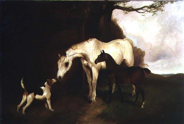 Faste venner av George Wright