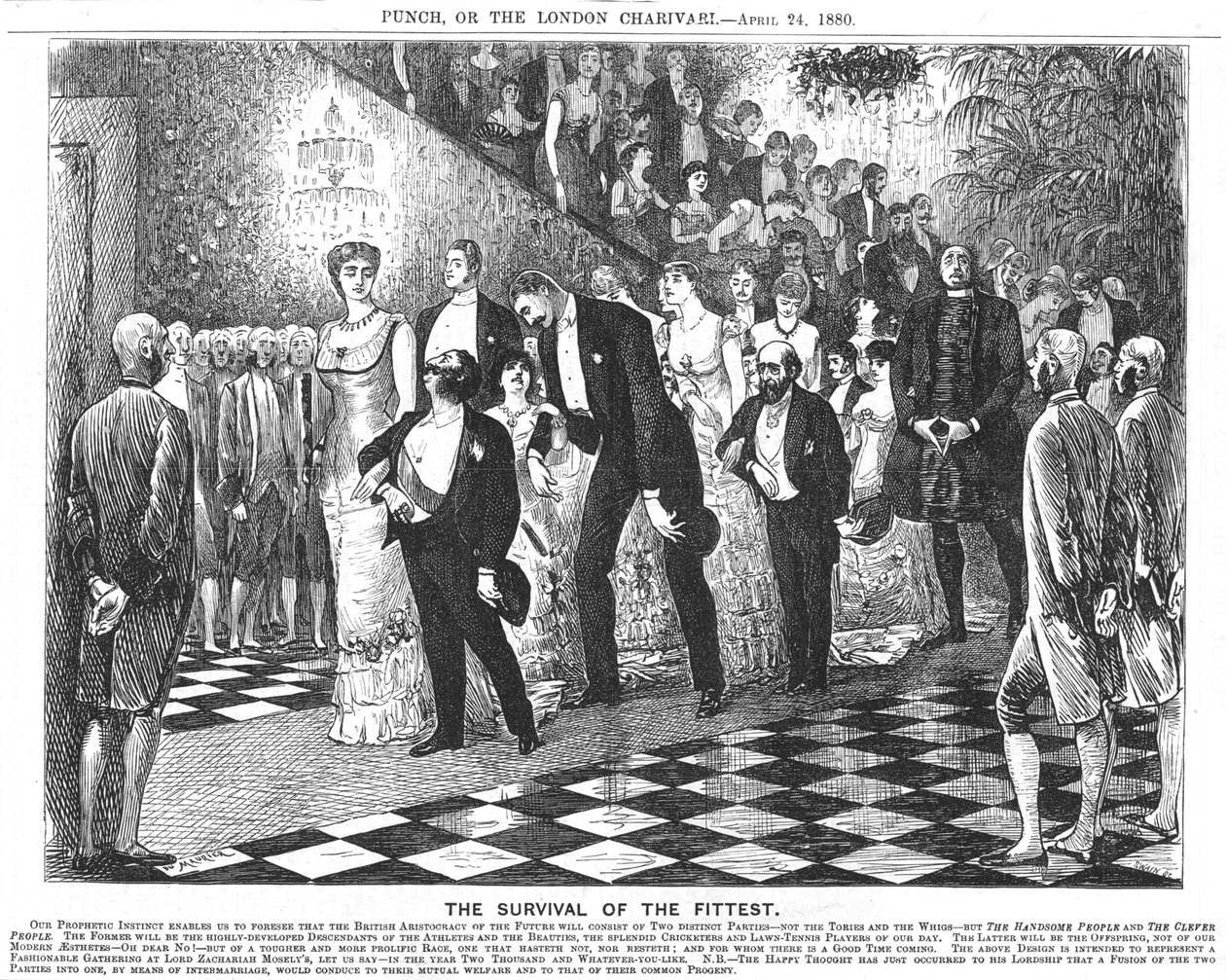 Anvendelse av darwinisme i det tjuende århundre. Av George du Maurier, 24. april 1880 (tegneserie fra Punch, London) av George du Maurier