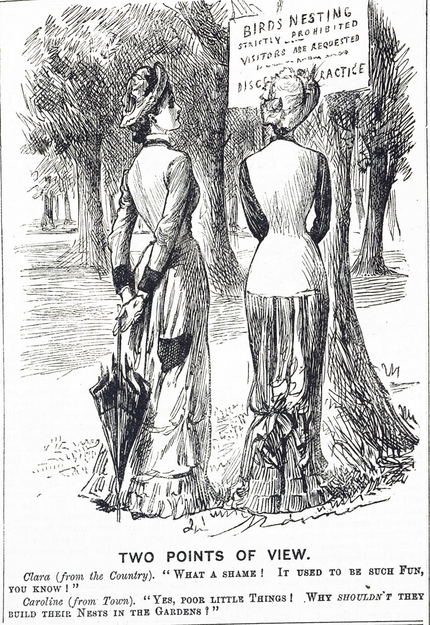 Tegneserie som kommenterer fuglebeskyttelsesloven 1880 av George du Maurier
