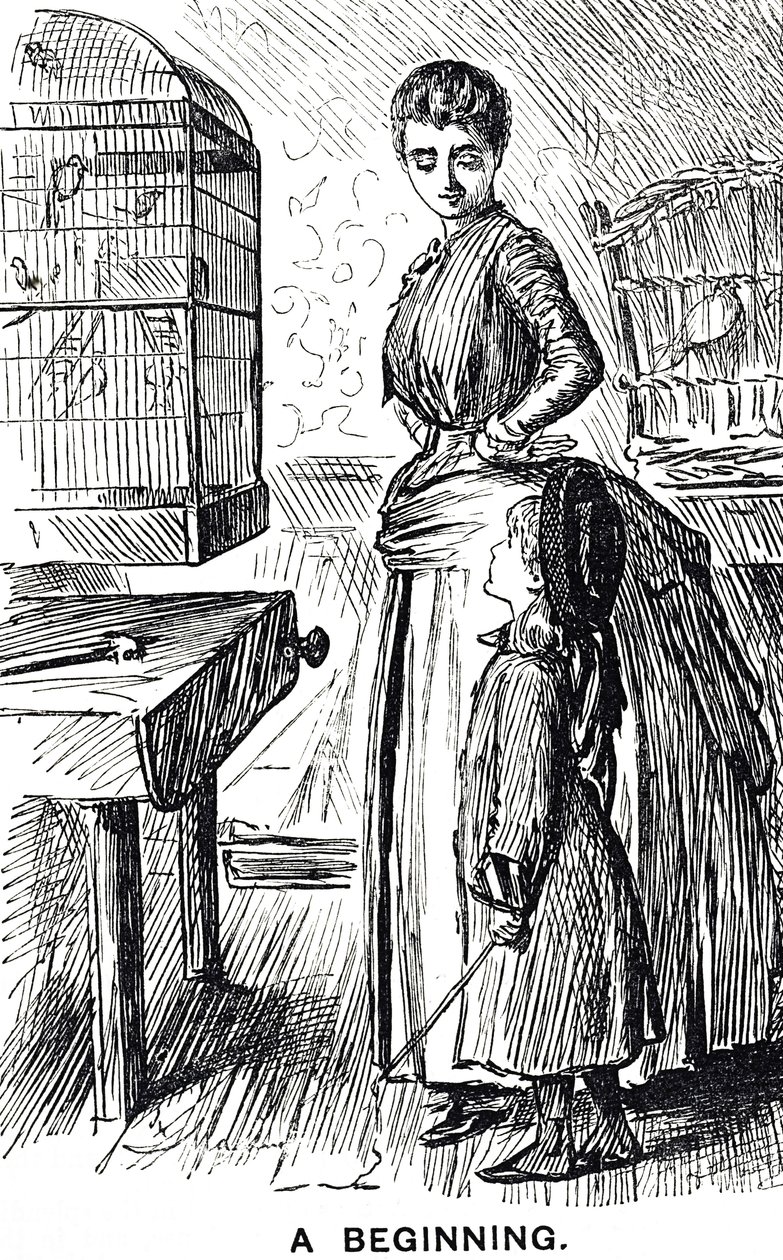 Tegneserie som kommenterer populariteten til burfugler i Storbritannia av George du Maurier
