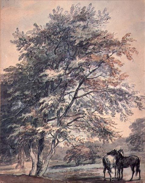 Trær og hester, 1700-tallet av George the Elder Barret