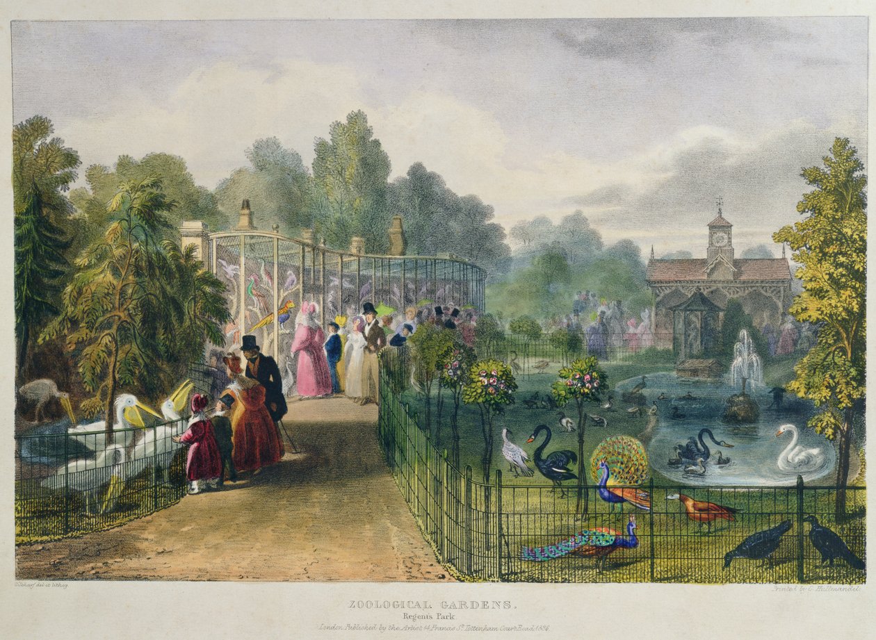 The Aviary at Zoological Gardens, Regents Park, gravert og pub. av kunstneren, trykt av Charles Hullmandel (1789-1850), 1836 av George the Elder Scharf
