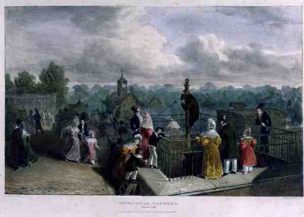 The Bear Pit ved Zoological Gardens, Regent