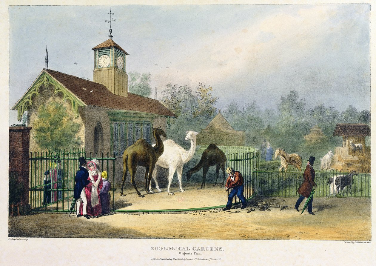 The Camel House at the Zoological Gardens, Regent