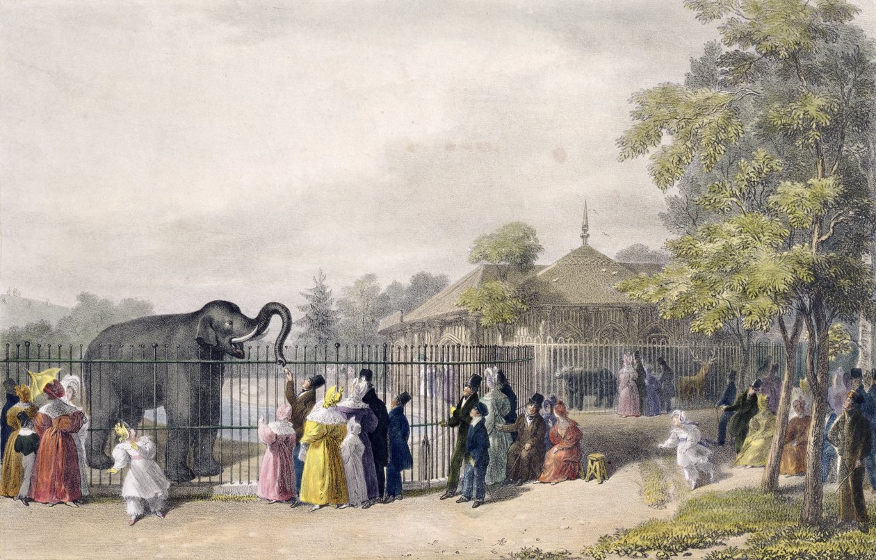 Elefanthuset ved Zoological Gardens, Regent