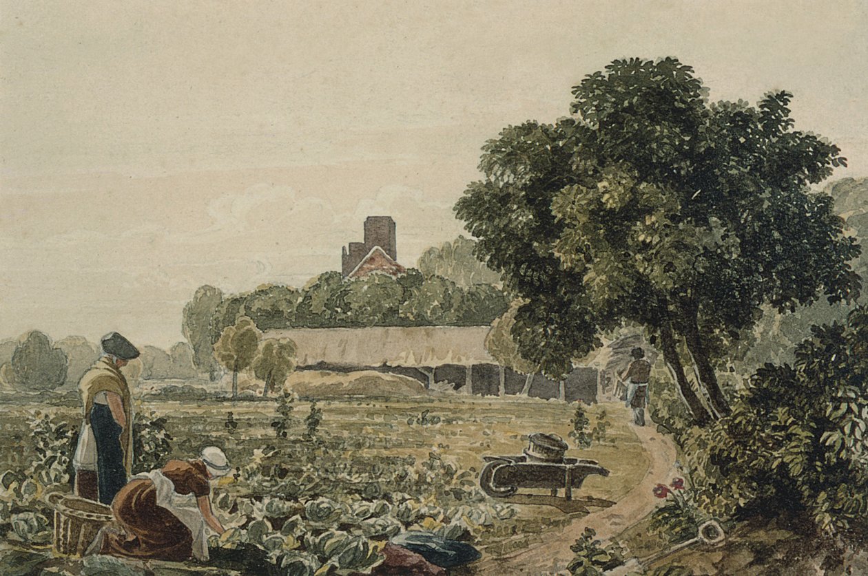 Market Garden i Chelsea av George the Younger Barret