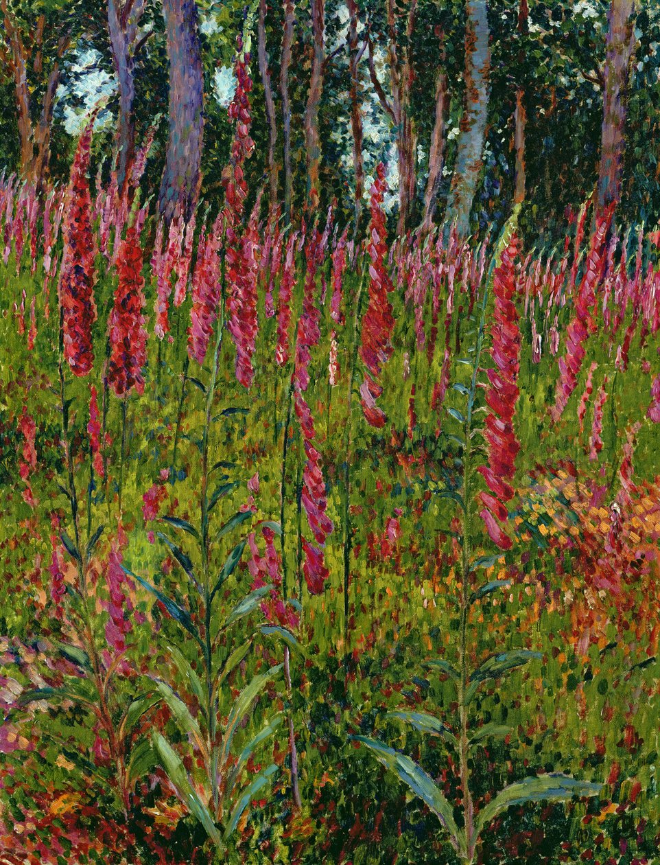 Revehansker, ca. 1916 av Georges Lacombe