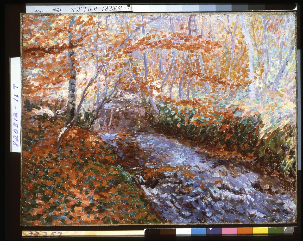 The Briante River (Forest Interior In Autumn) (olje på lerret) av Georges Lacombe