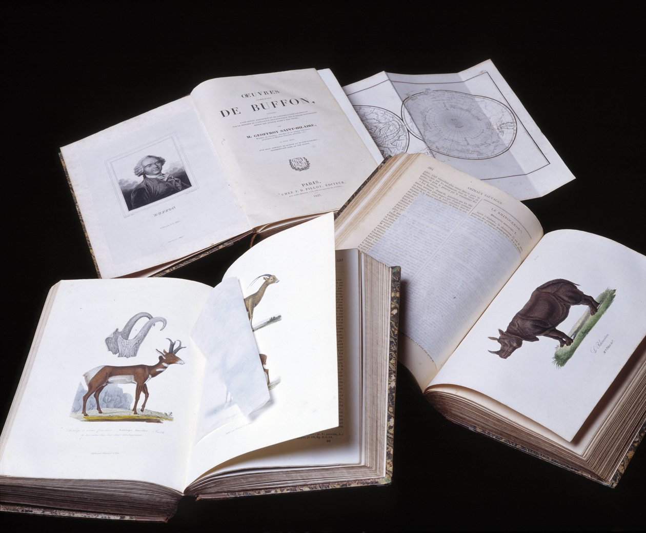 Stilleben av "Complete works of Buffon" av naturforsker Georges Louis Leclerc, greve av Buffon (1707 - 1788). Gravering fra 1837. av Georges Louis Leclerc
