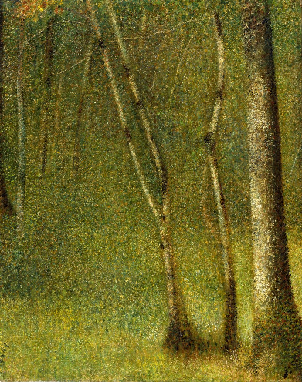 Skogen ved Pontaubert, 1881. av Georges Pierre Seurat