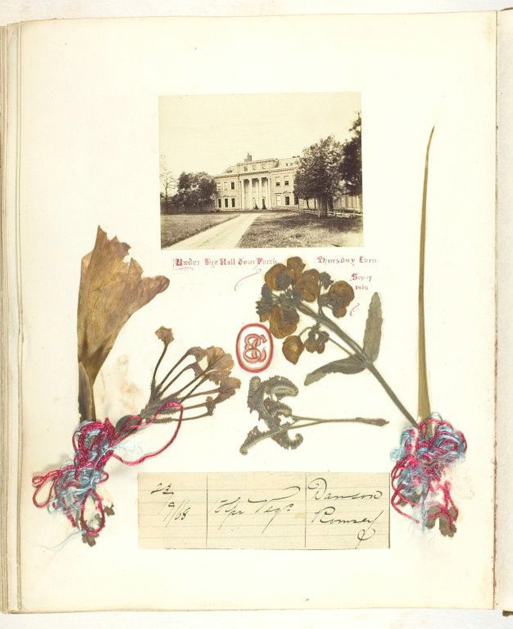 Uten tittel [utsikt over Broadlands med tørkede blomster], 1868. av Georgina Cowper