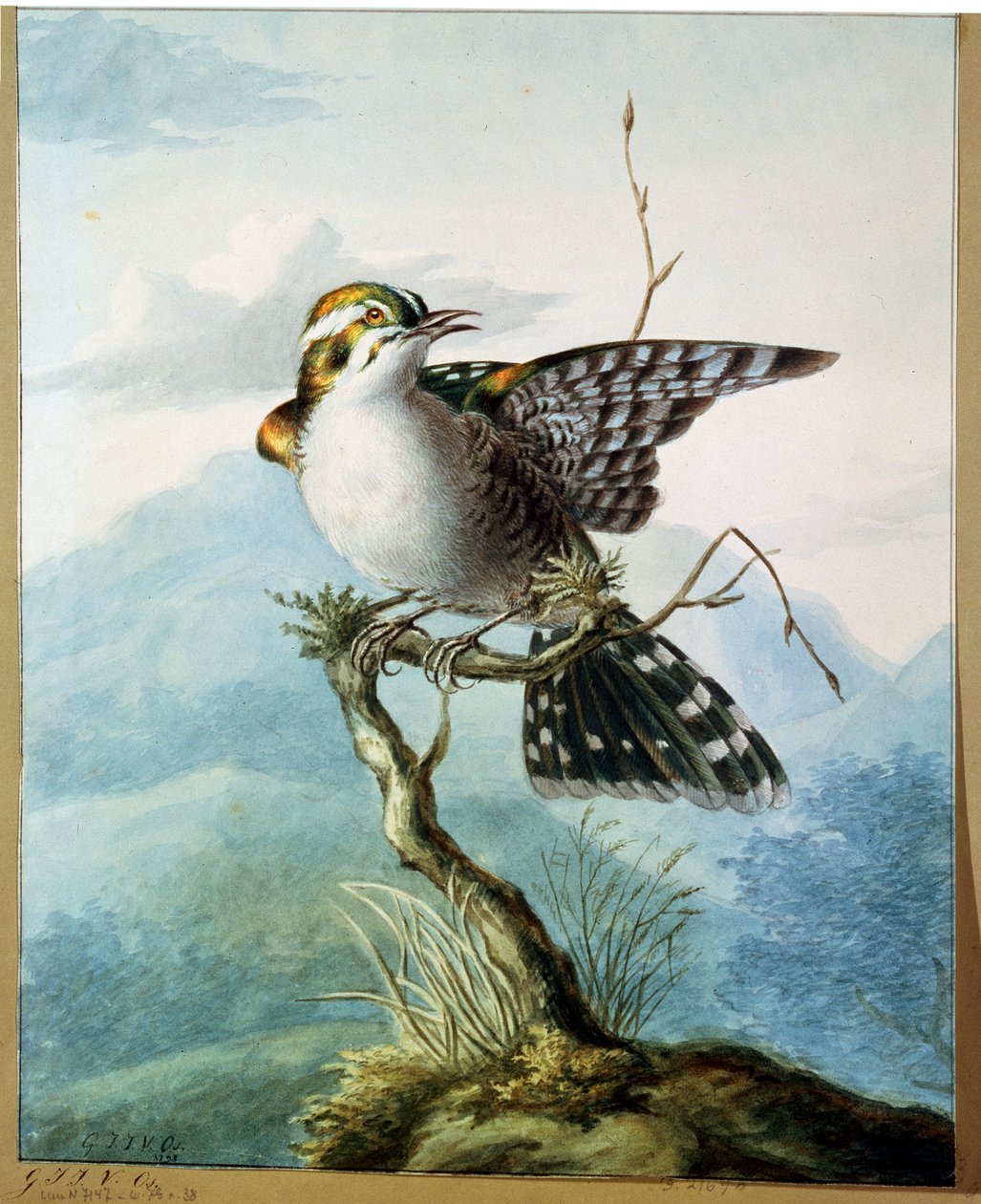 En liten fugl, 1798 av Georgius Jacobus Johannes van Os