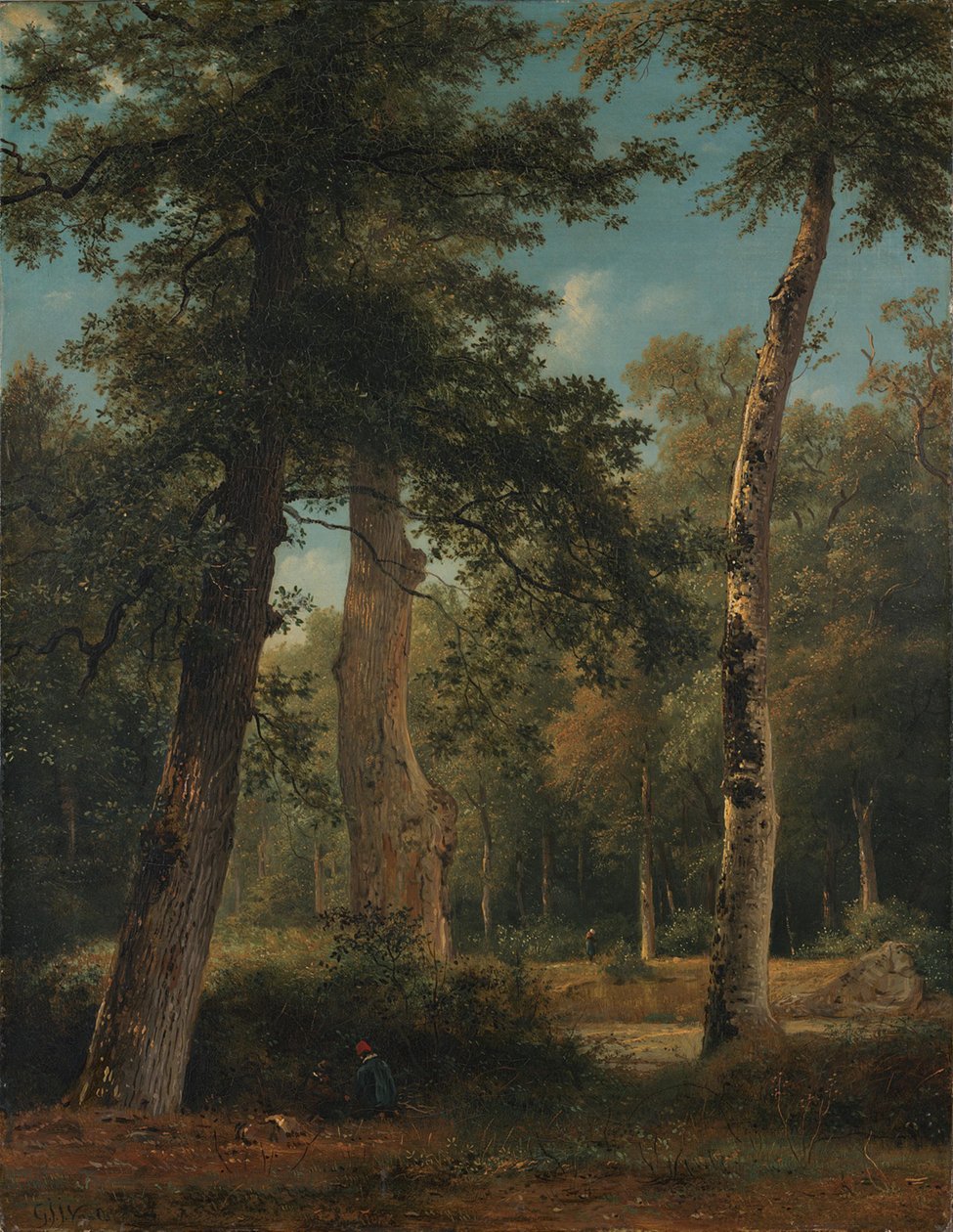 En skog ved Fontainebleau av Georgius Jacobus Johannes van Os