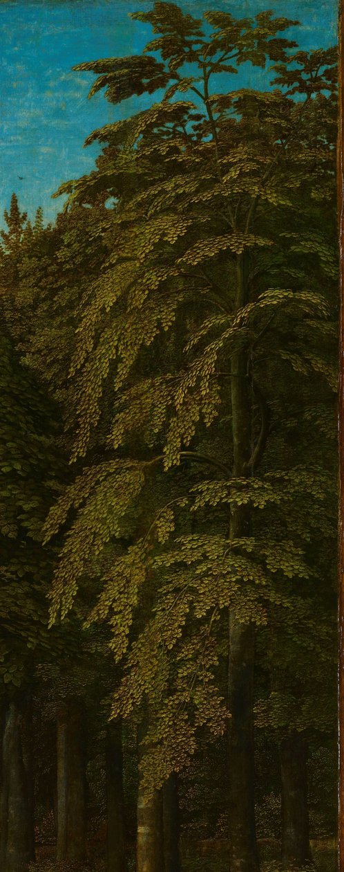 Utsikt i en skog, ytre høyre fløy av en triptyk av Gerard David