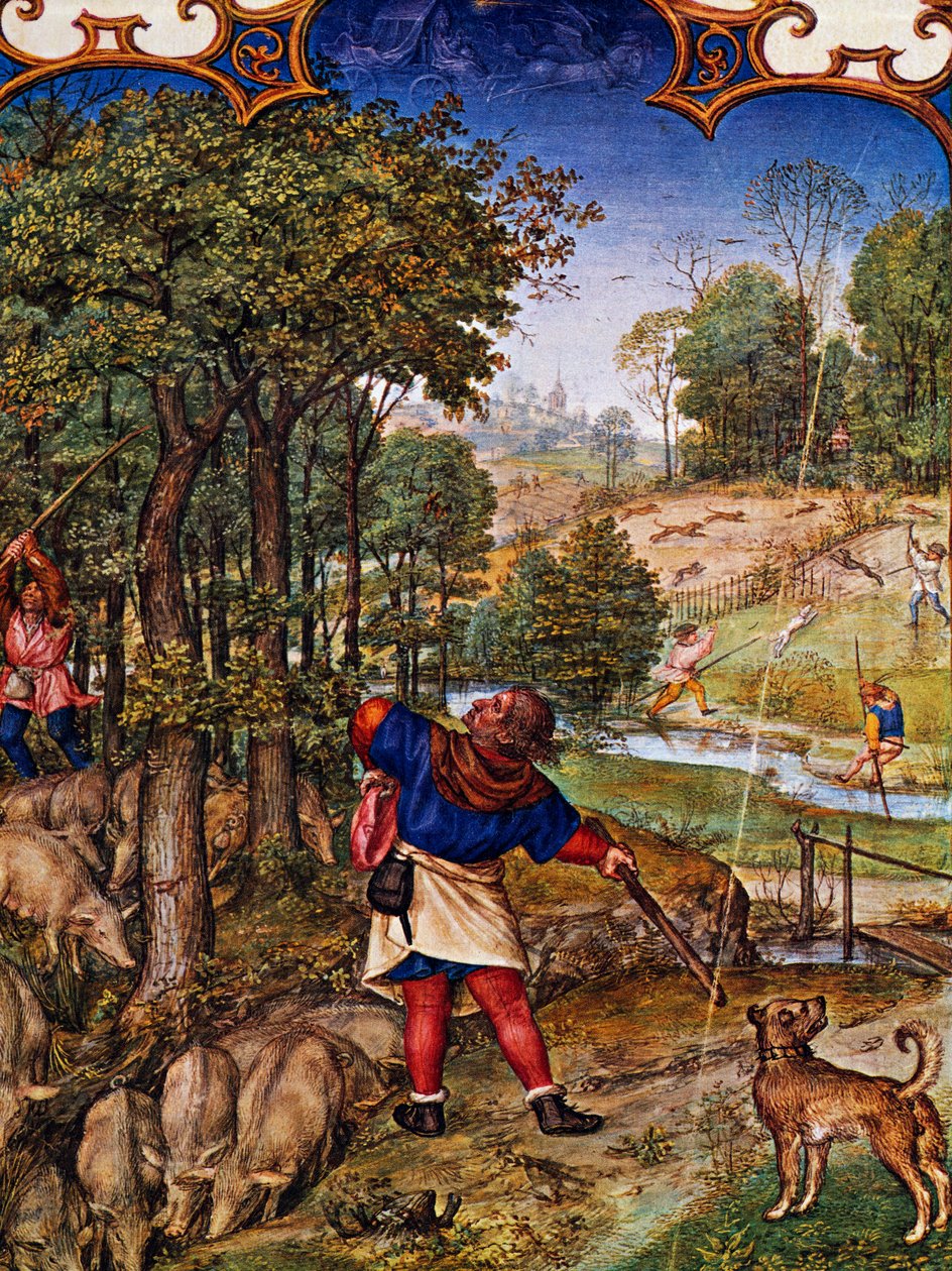 November måned, Samling av eikenøtter og harejakt, miniatyr fra Grimani Breviary, med miniatyr av Gerard Horenbout (ca 1465-før 1541), Alexander og Simon Bening (1483-1561), torsk Lat I, 99 f 11v, Nederland av Gerard Horenbout