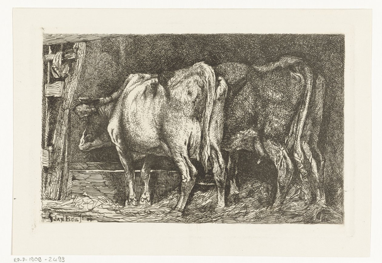 To kyr ved en krybbe av Gerard Jan Bos