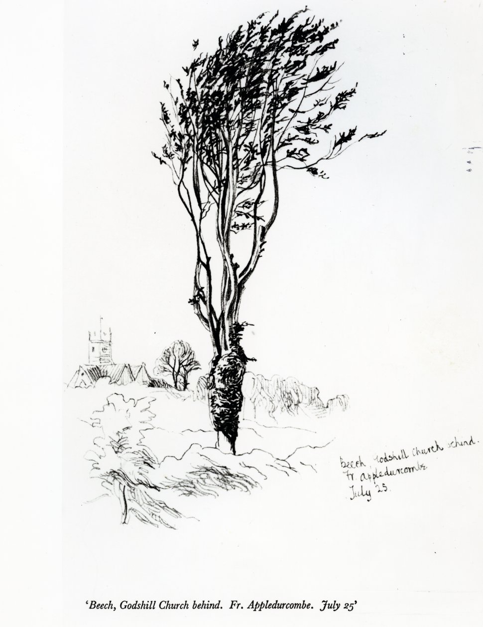 Bøk, Godshill Church bak. Fr. Appledurcombe. 25. juli, ca. 1860-årene av Gerard Manley Hopkins