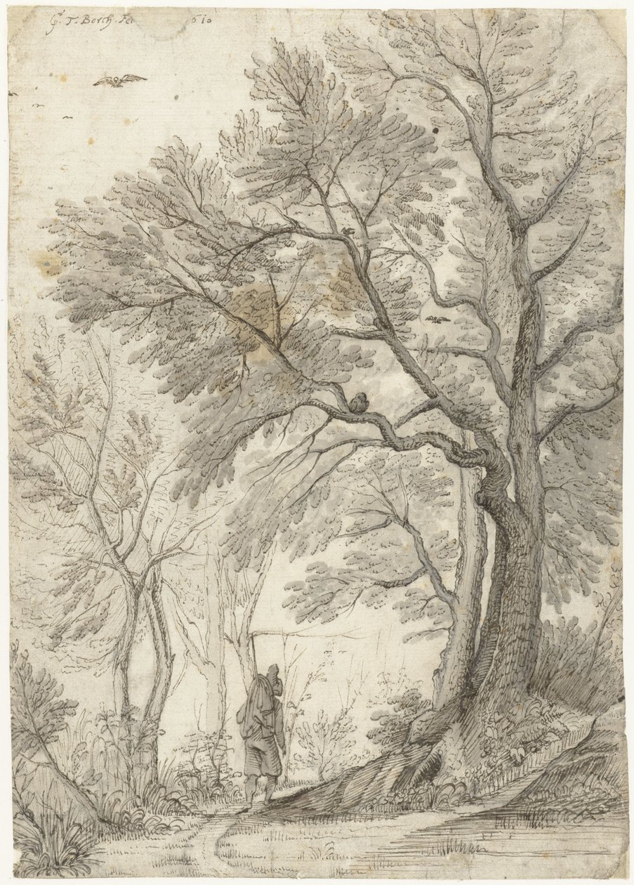 Forest of the Villa Madama utenfor Roma av Gerard ter Borch