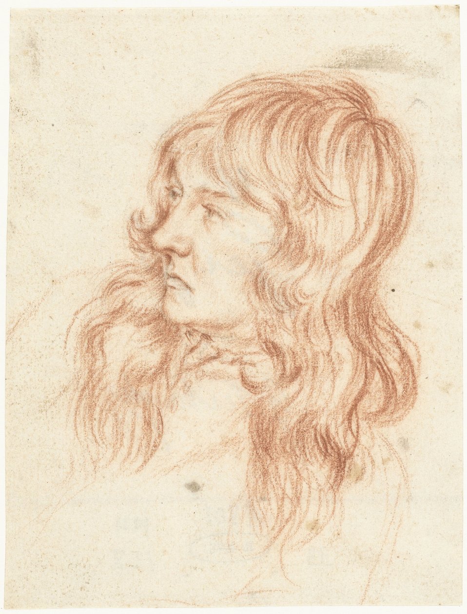 Hodet til en ung mann, til venstre av Gerard ter Borch (II)